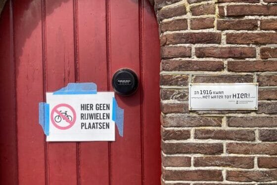 “Music, poetry and arts are valued and supported in NL”