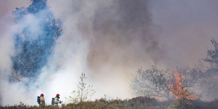 More fires break out at Dutch military training grounds