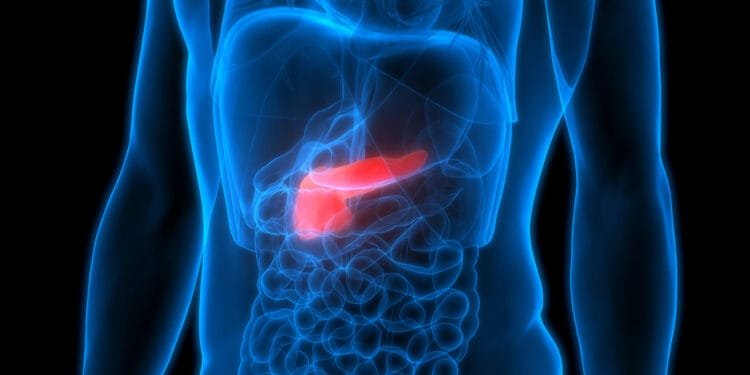 New genetic treatment for pancreatic cancer tested in Nijmegen