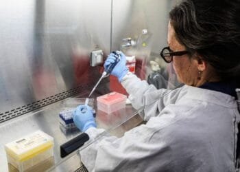 Meer bekend over Fries stel dat overleed aan Hantavirus: ‘Mogelijk opgelopen tijdens vogelspotten’