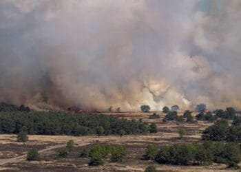Koninklijke Marechaussee: brand ’t Harde door springstof-oefening