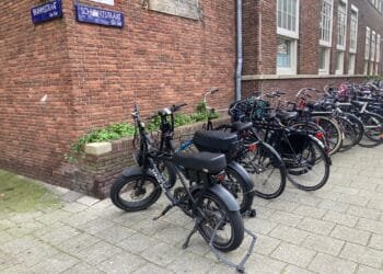 More local councils may ban nuisance fatbikes: survey