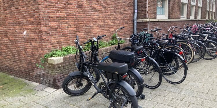 More local councils may ban nuisance fatbikes: survey