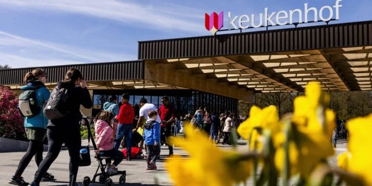 Keukenhof trekt voor vierde jaar op rij 1,4 miljoen bezoekers