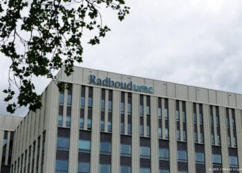 12 medewerkers Radboudumc preventief in quarantaine om hantavirus