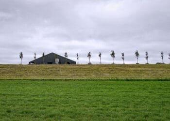 NL is littered with ancient dwelling mounds, research shows