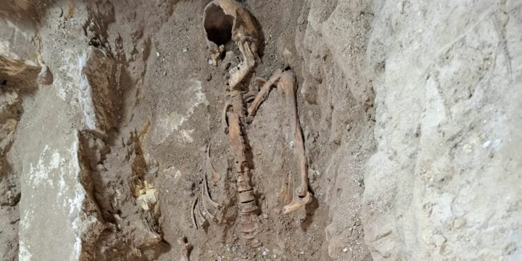 Dutch archaeologist arrested for keeping “d’Artagnan’s” bones