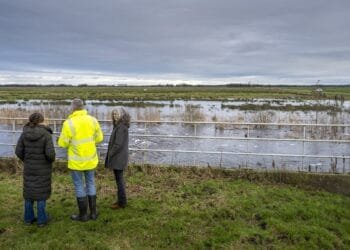 Je gaat straks meer dan 1000 euro belasting aan het waterschap betalen: ‘Grofweg een verdubbeling’