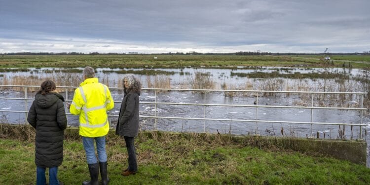 Je gaat straks meer dan 1000 euro belasting aan het waterschap betalen: ‘Grofweg een verdubbeling’