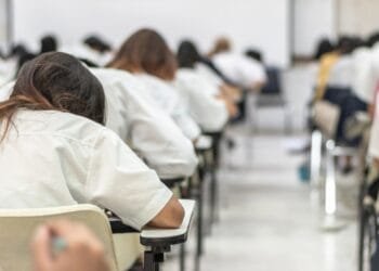 More Frisians read and write the language well, survey finds