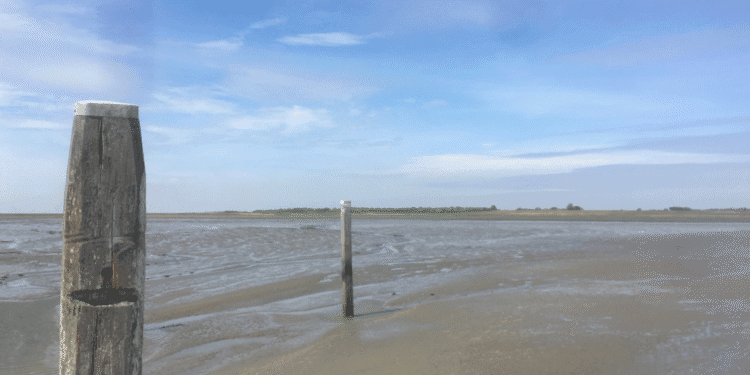 Mining company wins licence to extract more salt from Wadden Sea