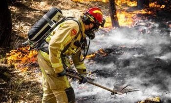 Natuurbrand bij Weert laait op door wind en warmte