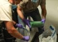 Organised crime becoming “state within a state”, report warns