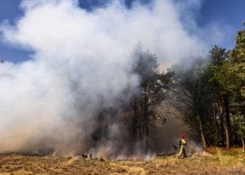Military to revise training rules as fires burn into third day