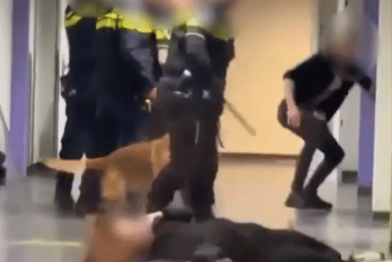 Police investigate apparent assault on pregnant refugee