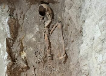 Dig for d’Artagnan’s grave was illegal, Maastricht says