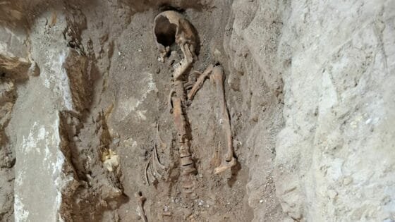 Dig for d’Artagnan’s grave was illegal, Maastricht says