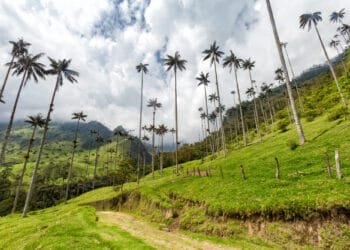 Body of missing Dutch tourist found in lake in Colombia