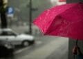 Zomerweer blijft uit: Nederland krijgt dagenlang regen, buien en weinig zon