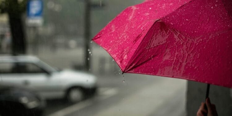 Zomerweer blijft uit: Nederland krijgt dagenlang regen, buien en weinig zon