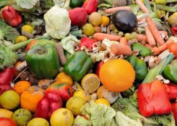 Food waste falls but Netherlands is off track for 2030 goal