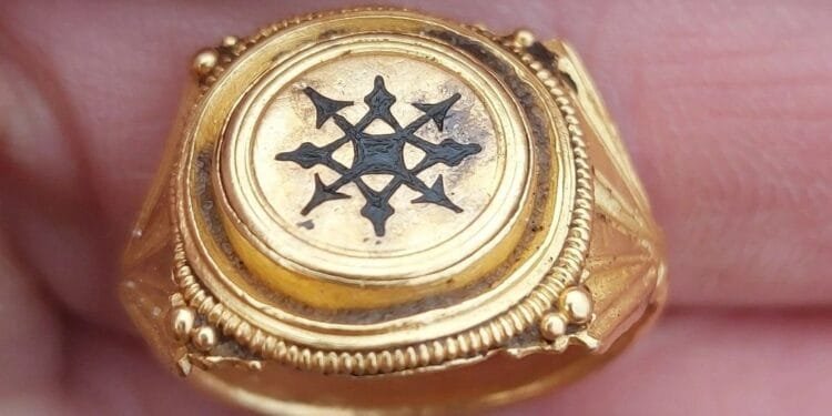 Treasure trove of 3,000 items unearthed during landscaping work