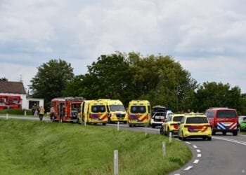 19-jarige man uit Hulst aangehouden na dodelijk verkeersongeval
