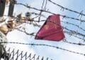 What does the EU migration pact mean for the Netherlands?