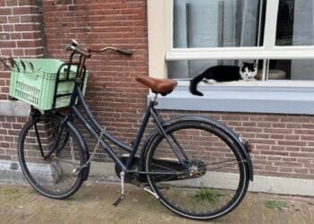 “The Netherlands is a very convenient, easy-to-live-in country”