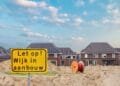 First-time private renters spend most of income on housing: CBS