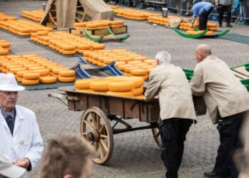 Dutch destinations: there is more to Alkmaar than cheese