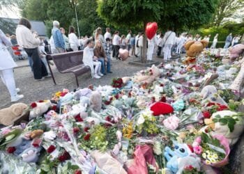 OM ziet veroorzaken ongeval Vogelwaarde als dood door schuld