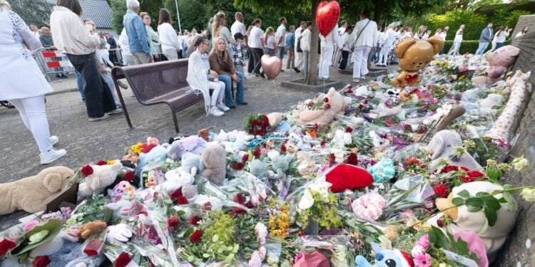 OM ziet veroorzaken ongeval Vogelwaarde als dood door schuld