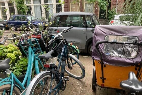 Off the stoop: limping along Leiden’s overcrowded pavements