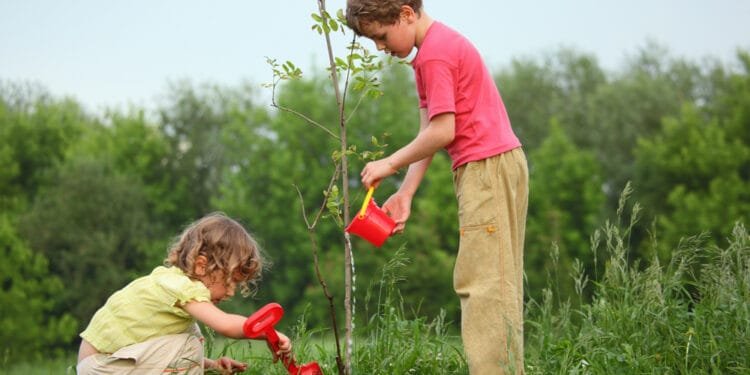 Netherlands falls to 22nd place on ranking of children’s rights