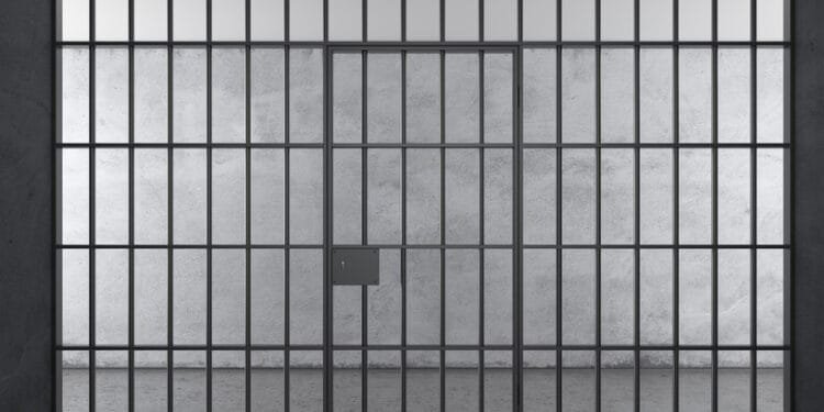 More day releases to help prisons bursting at the seams: NOS
