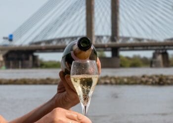 Forget one glass a day: no alcohol is safe, Dutch advisers warn