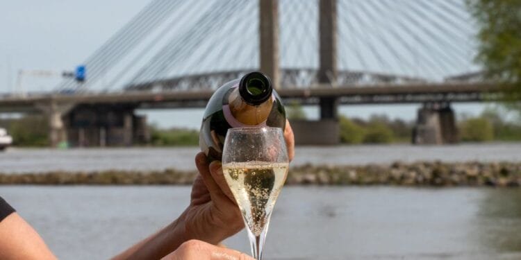Forget one glass a day: no alcohol is safe, Dutch advisers warn