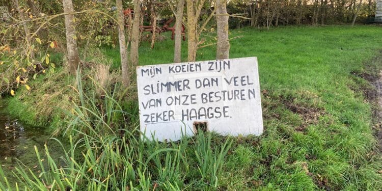 Dutch cabinet agrees plan to slash nitrogen pollution levels