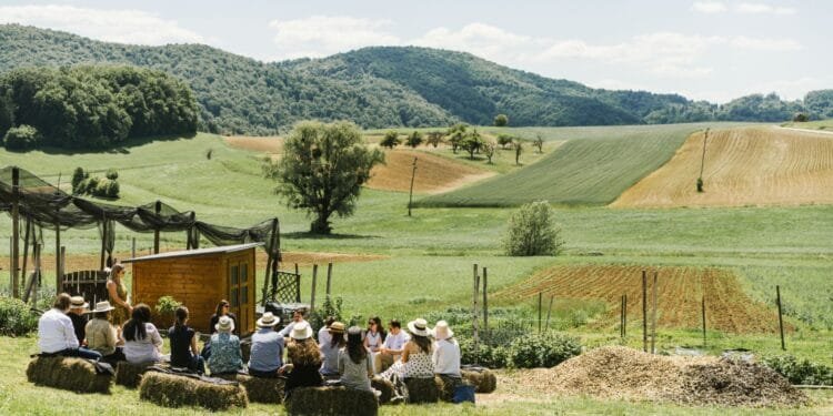 Metro test: hierom is Oost-Slovenië dé bestemming voor liefhebbers van wijn, gastronomie en natuur