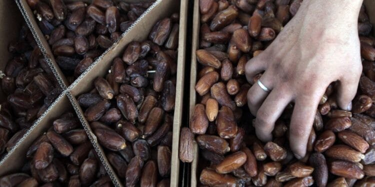NL is main EU importer of illegal Israeli settlement produce