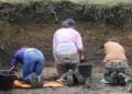 The first dig at a Dutch medieval battlefield, 800 years on