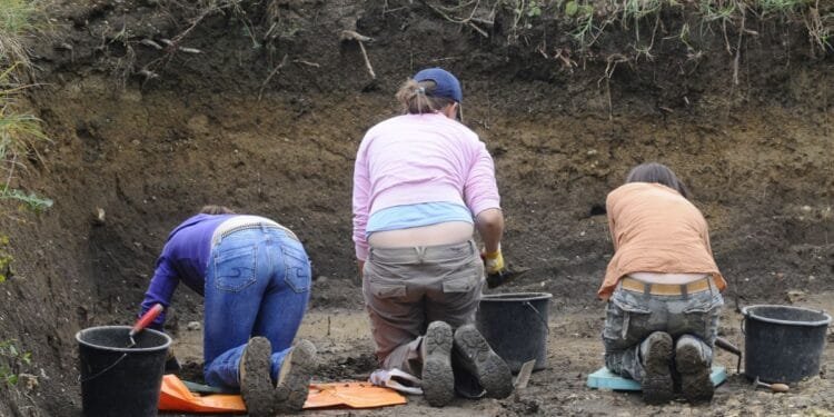 The first dig at a Dutch medieval battlefield, 800 years on