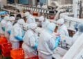 Meat sector vows to end foreign worker abuse to avoid ban