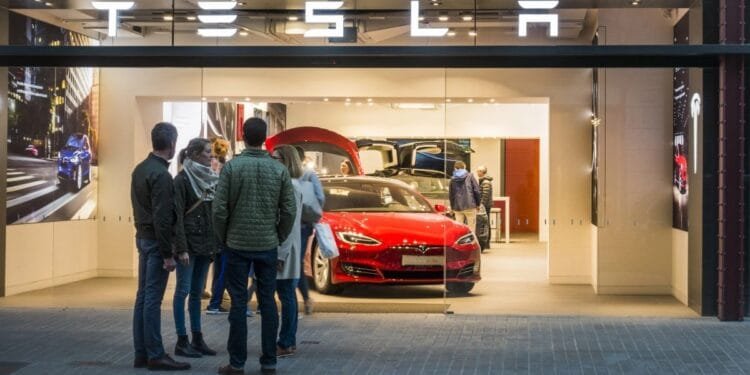 Minister won’t review Tesla self-driving cars despite concerns