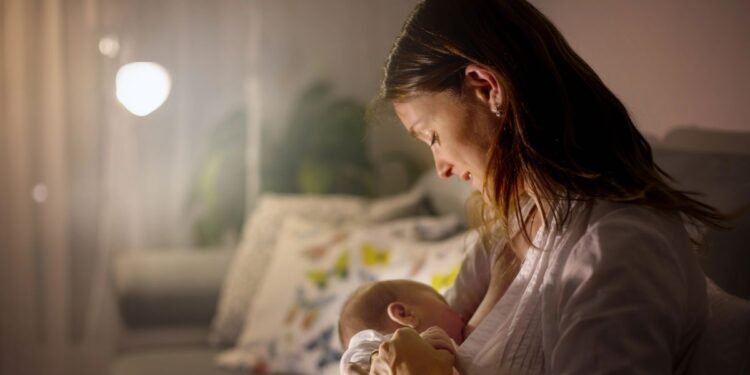 PFAS found in all Dutch breast milk samples, study finds