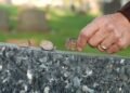 Euthanasia accounts for nearly 6% of Dutch deaths, report finds