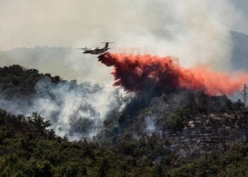 Bosbranden in Frankrijk en Spanje zorgen voor onrust: zo bereid je je vakantie goed voor