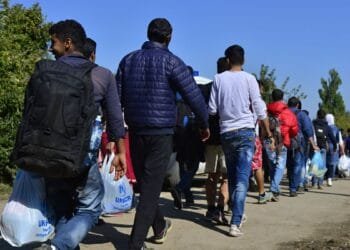 Ministry must reassess asylum even after fraud, court rules