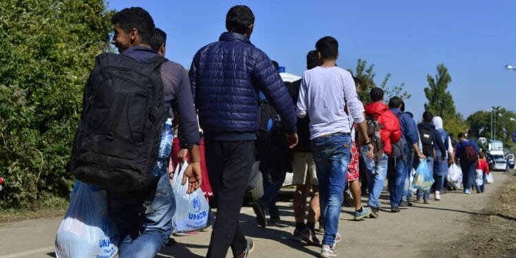 Ministry must reassess asylum even after fraud, court rules